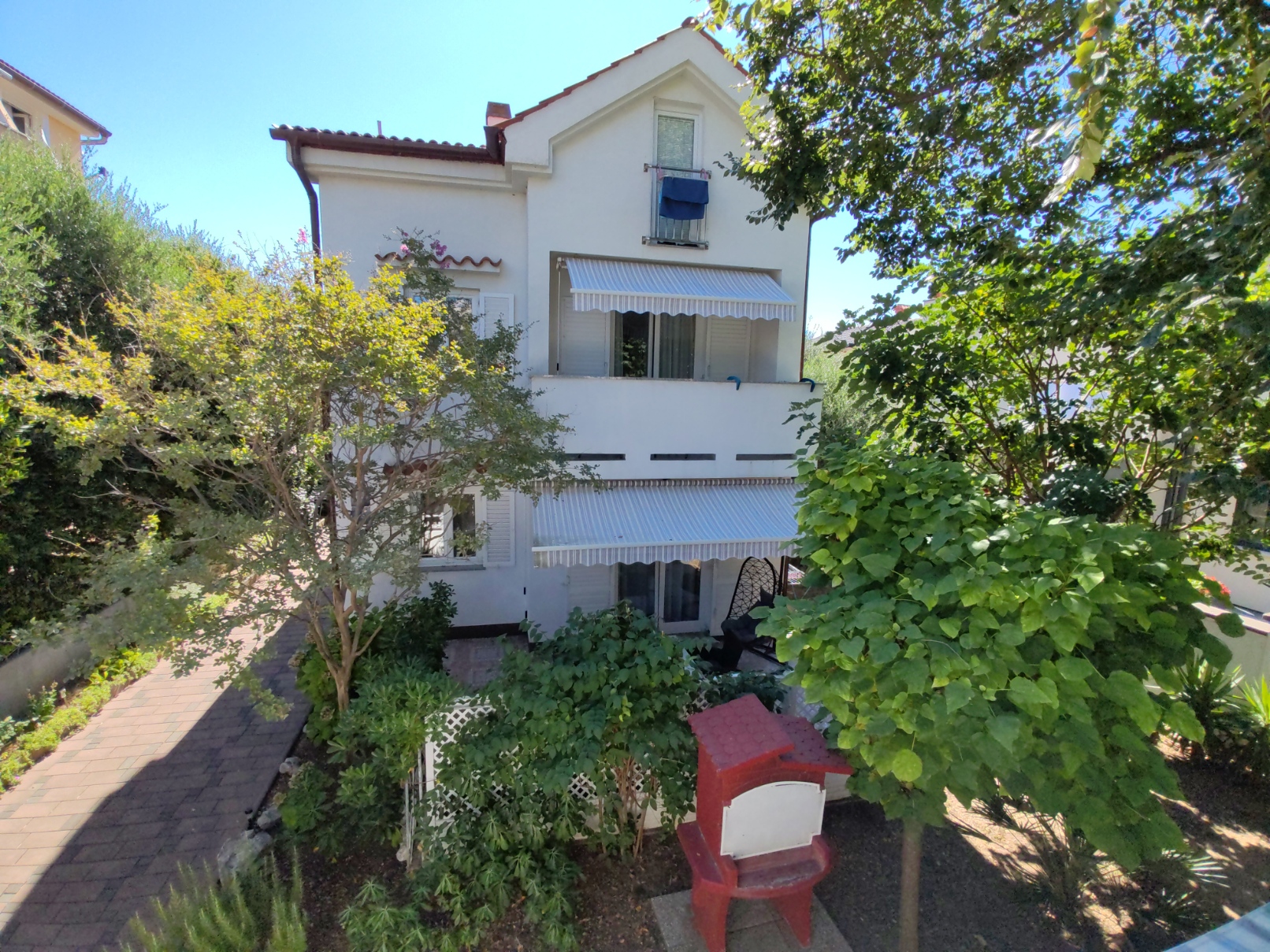 IMG 20240812 101930